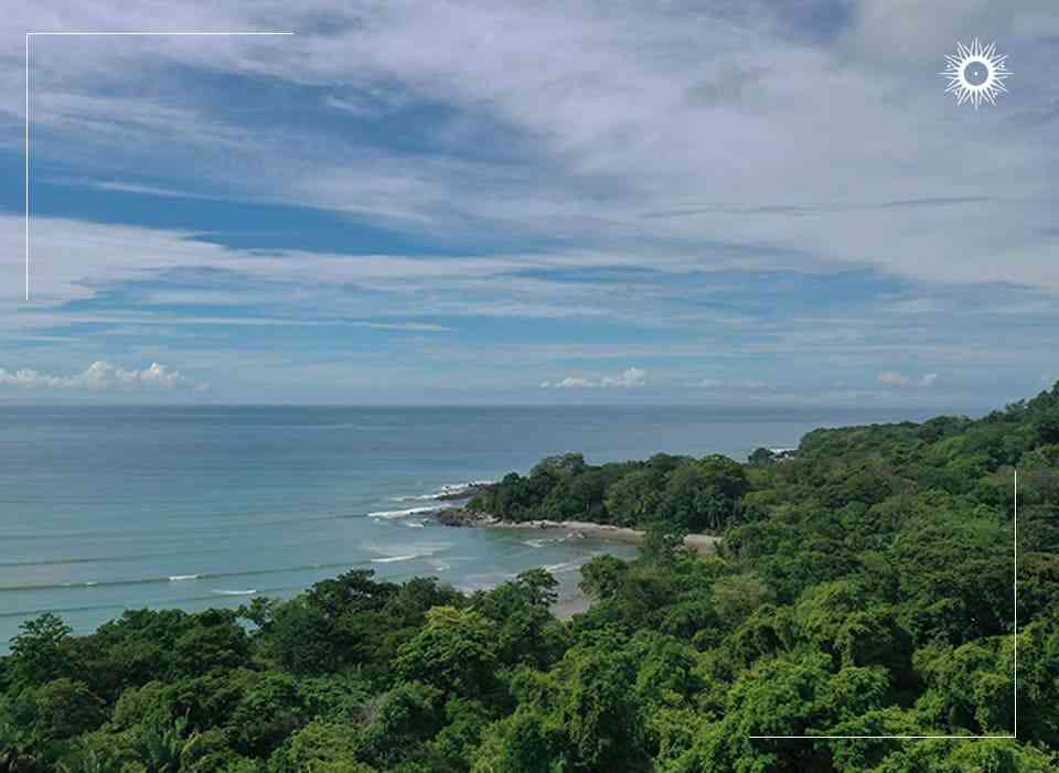 tortuguero jungle tour