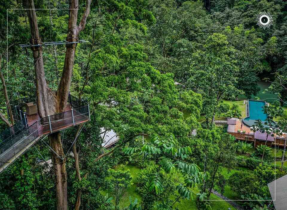 tortuguero jungle tour