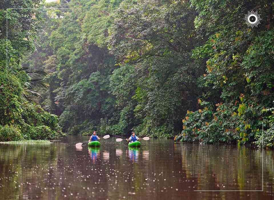 tortuguero jungle tour